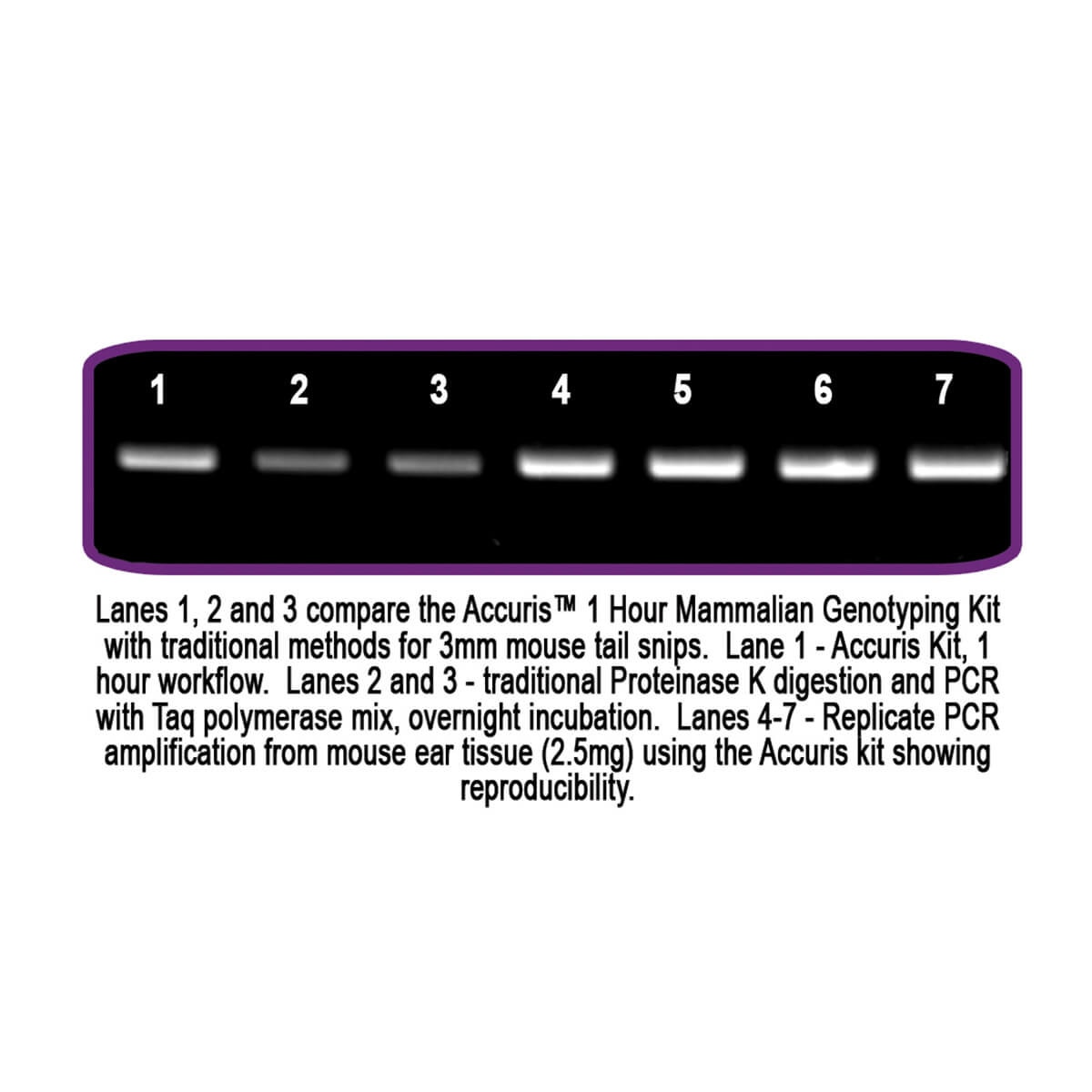 Genotyping Kit, graph